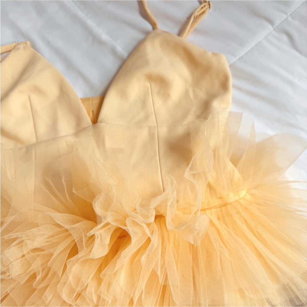 Zara Tulle Top